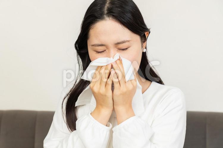 花粉症で鼻をかむアジア人女性02 女性,鼻をかむ,花粉症の写真素材