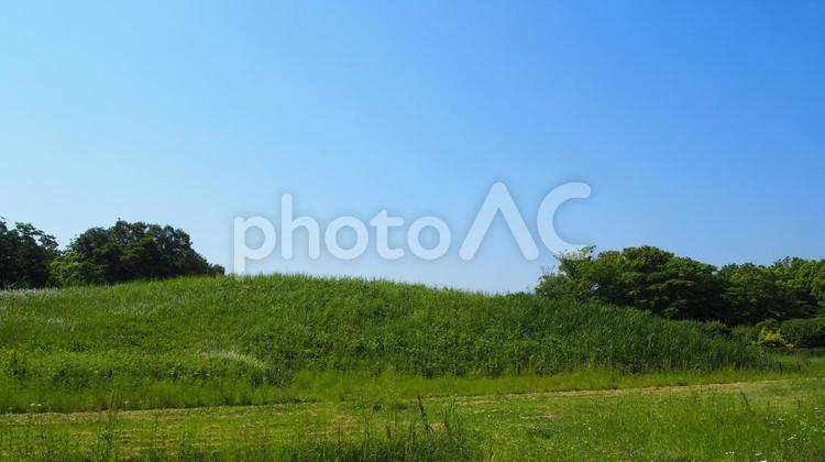 さきたま古墳公園・緑の瓦塚古墳（行田市） 瓦塚古墳,前方後円墳,行田市の写真素材
