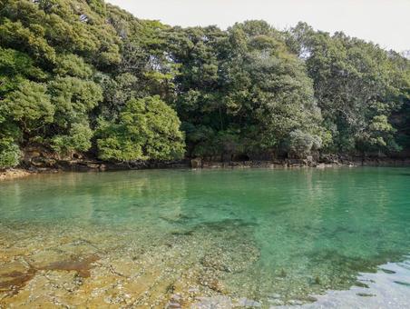 九十九島の翠の海 九十九島,長崎,佐世保の写真素材