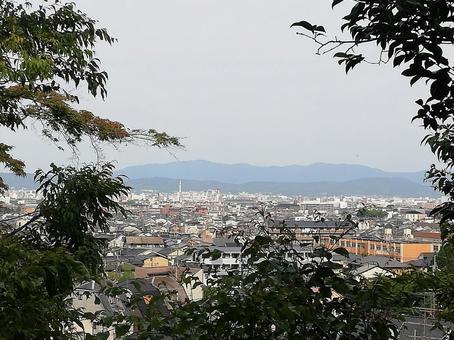 Photo, a view, residential land, town, 