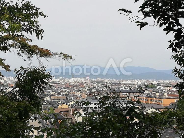 山の上からの眺望 眺望,住宅地,町の写真素材