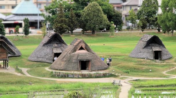 夏の登呂遺跡 竪穴式住居 夏の登呂遺跡 竪穴式住居 登呂遺跡,竪穴式住居,高床式倉庫の写真素材
