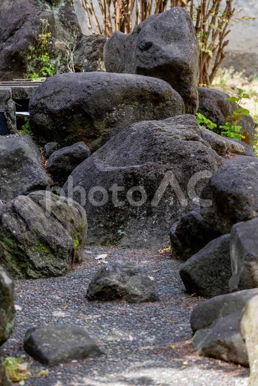 公園の水のない池 公園,池,水のないの写真素材