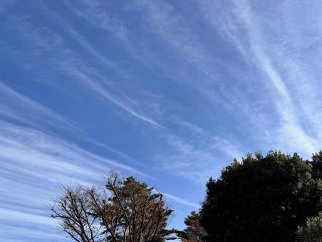 放射状の雲と秋の木 秋,里山,自然の写真素材