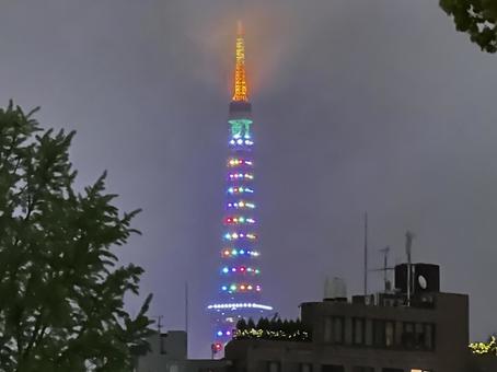 東京タワー 東京タワーの写真