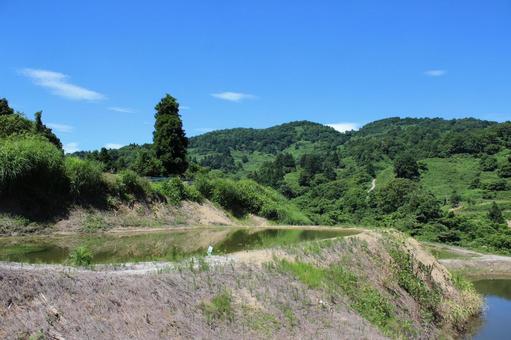 山古志虫亀 棚田と空 山古志虫亀 棚田と空 棚田,木,水面の写真素材