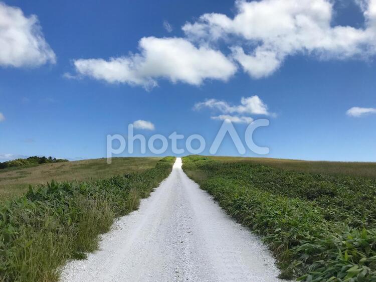 最北の白い道（稚内） 白い道,最北端,宗谷岬の写真素材
