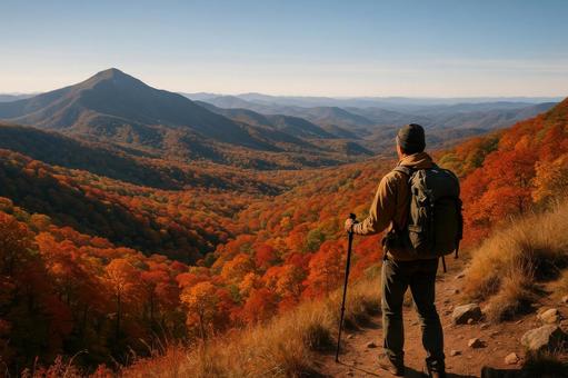 紅葉パノラマ登山道 紅葉パノラマ登山道の写真