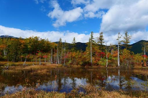 乗鞍高原の紅葉 乗鞍高原の紅葉 秋,オータム,紅葉の写真素材