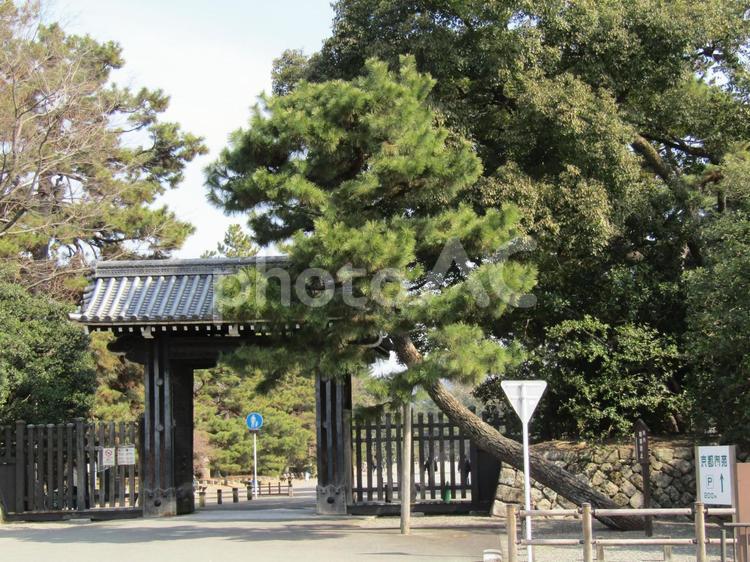 京都御苑乾御門と松 門,京都,御苑の写真素材
