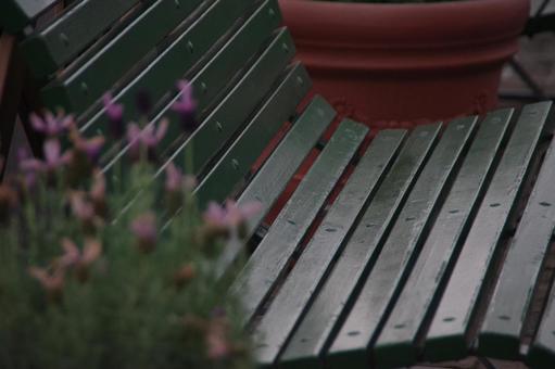 公園のベンチの写真