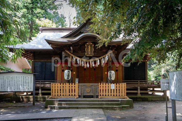 埼玉　氷川女体神社　拝殿 氷川女体神社,氷川女體神社,氷川の写真素材