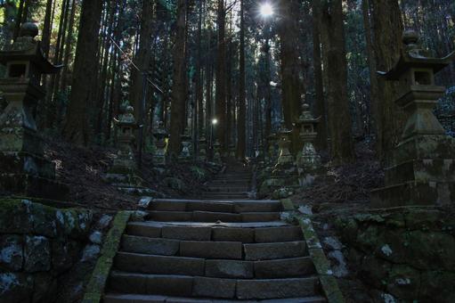 熊本県高森町 上色見熊野座神社 参道 熊本県高森町 上色見熊野座神社 参道の写真
