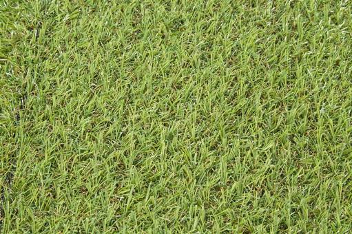 人工芝 人工芝,一面,合成素材の写真素材