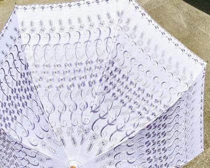 綺麗な薄紫の日傘の写真