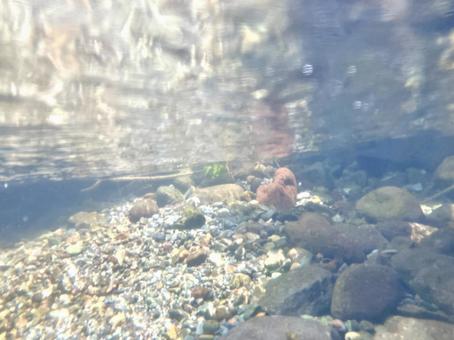 Underwater in a clear mountain stream③, JPG Underwater in a clear mountain stream③, JPG