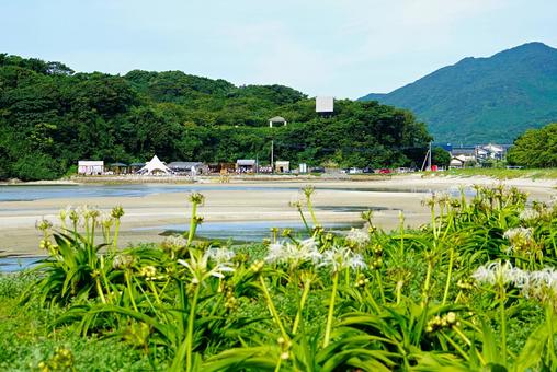 蛤浜海水浴場 蛤浜海水浴場の写真