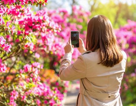 写真を撮る 写真を撮るの写真