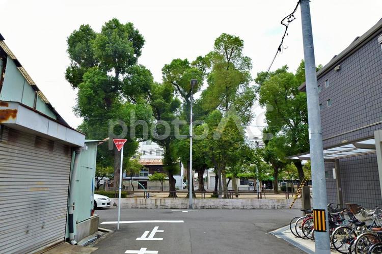 昭和の雰囲気を残す町角の児童公園 町角,隘路,町並みの写真素材