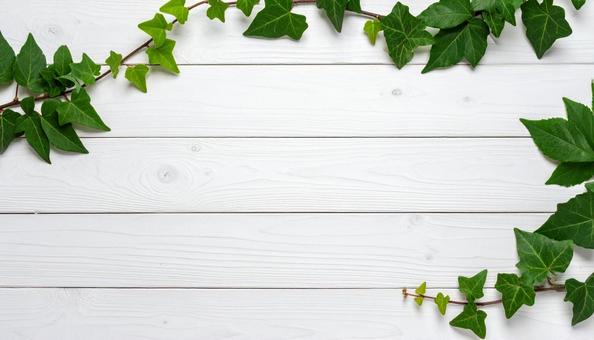 白木目にアイビーの爽やかな背景素材 白木目にアイビーの爽やかな背景素材の写真