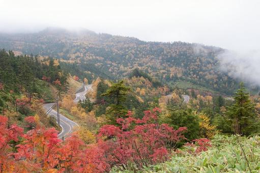 金精峠 紅葉 金精峠 紅葉 景色,見晴らし,金精峠の写真素材