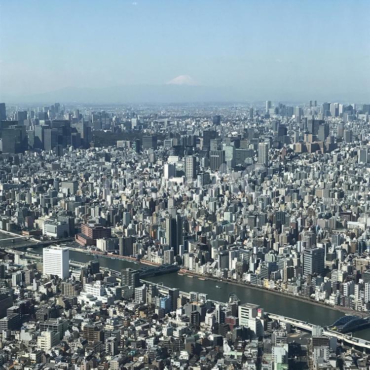 スカイツリーからの風景 都市,スカイライン,都市の風景の写真素材