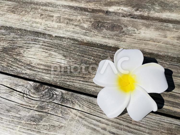 プルメリア プルメリア,女性的,造花の写真素材