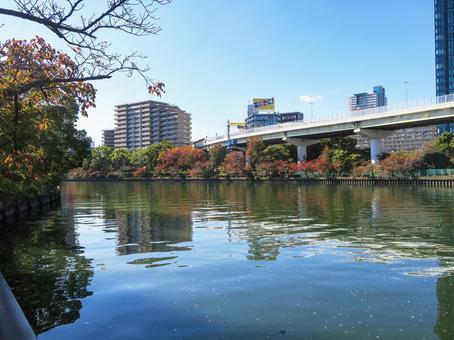 大川_2 大川,淀川,旧淀川の写真素材