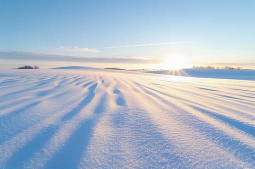 朝日に染まる雪原 朝日に染まる雪原の写真