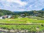 御殿場線車窓から駿東郡桑木付近の水田風景 jr御殿場線,車窓風景,沿線風景の写真素材