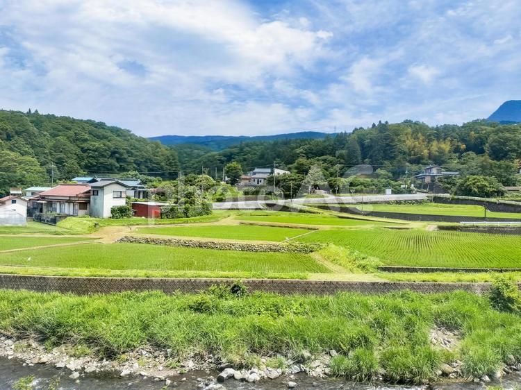 御殿場線車窓から駿東郡桑木付近の水田風景 jr御殿場線,車窓風景,沿線風景の写真素材