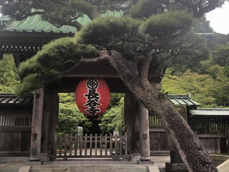 Hasedera Temple in Kamakura, where flowers bloom throughout the seasons, JPG