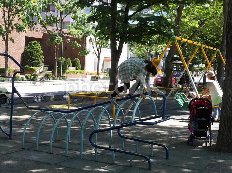 札幌 大通公園 北海道,札幌市,中央区の写真素材