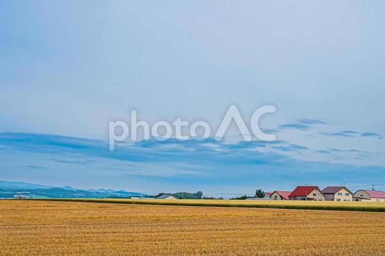 富良野の夏の風景 景色,hokkaido,北海道の写真素材