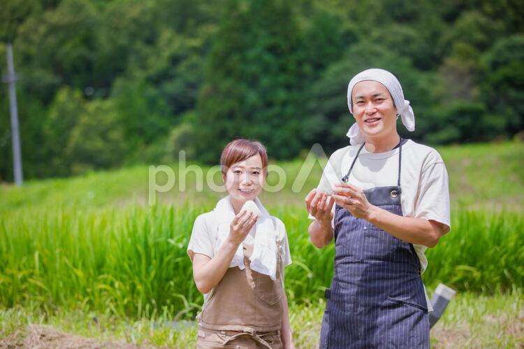お米と農家 農家,お米,農業の写真素材