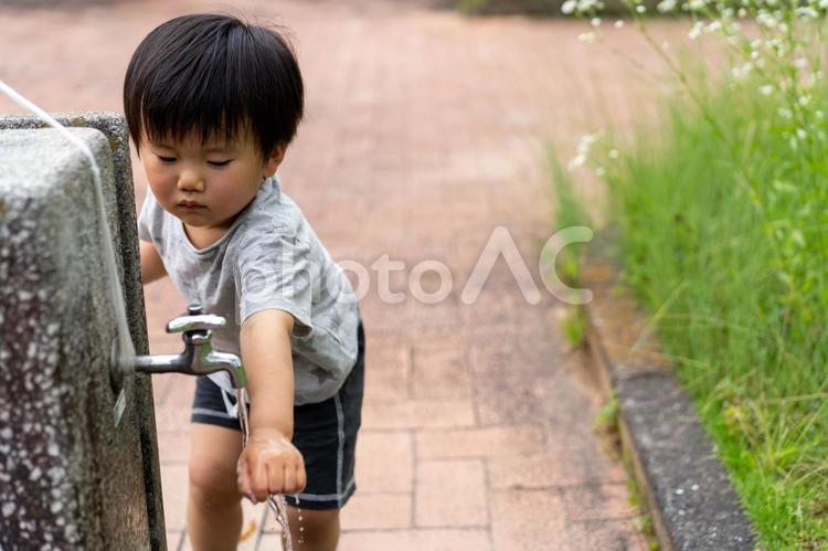 子供　手洗いイメージ 子供,手洗い,洗うの写真素材
