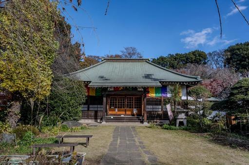 興禅院周辺の景色 興禅院周辺の景色 興禅院,寺院,建物の写真素材