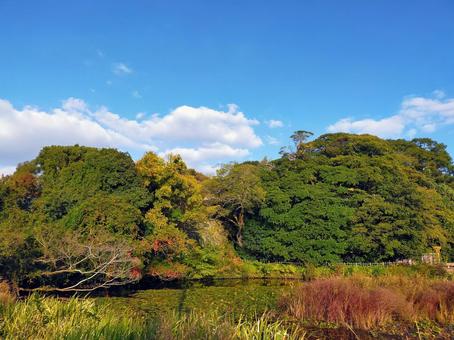紅葉 福岡,福岡城,晩秋の写真素材