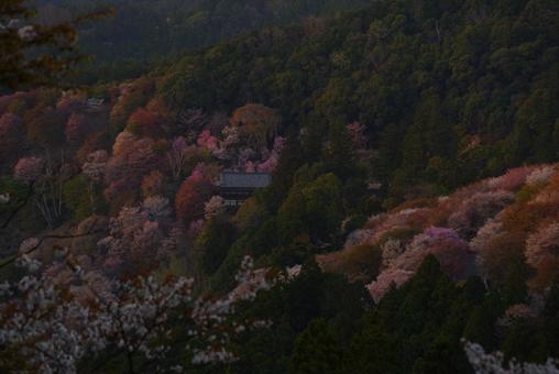 春山 春山の写真