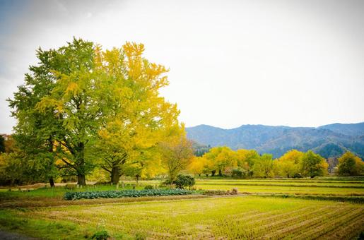 autumn, JPG