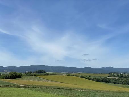 北海道 美瑛 大空 緑 田園風景 北海道 美瑛 大空 緑 田園風景 風景,景観,北海道の写真素材