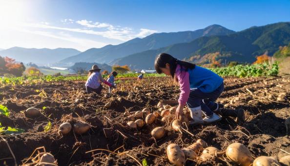 芋掘りする家族 芋掘りする家族の写真