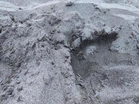 砂浜の細かい砂のテクスチャ 砂,砂浜,海の写真素材