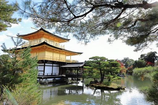 秋の金閣寺 青空,世界遺産,風景の写真素材