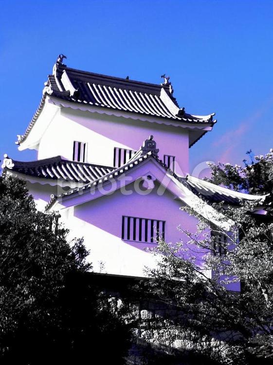 豊田市挙母城の純白の城壁と空 豊田市,挙母城,城の写真素材