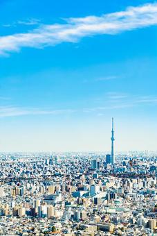 Sky Tree Vertical position, himmel baum, landschaft, tokio, JPG