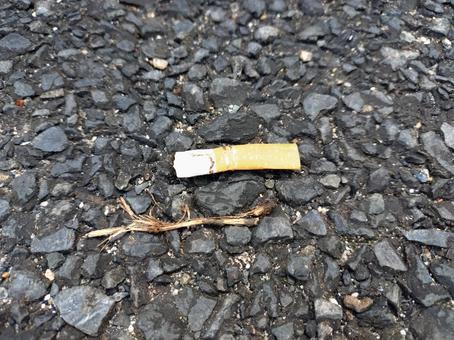 茶色いフィルターの吸い殻 ポイ捨て,タバコ,煙草の写真素材