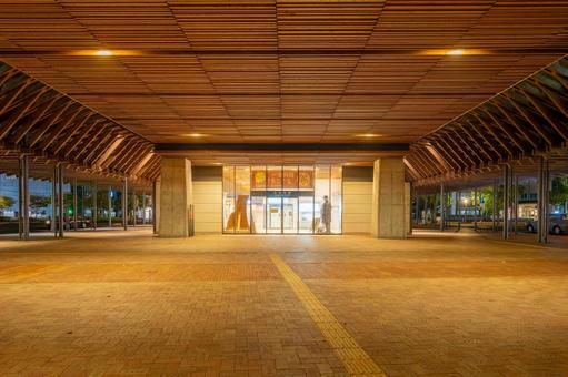 日豊本線 夜の日向市駅 日豊本線 夜の日向市駅 日向市駅,駅,日豊本線の写真素材