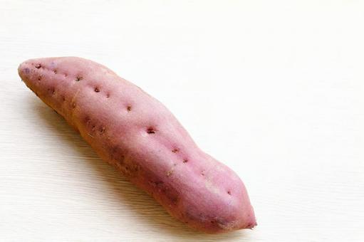 1本のさつまいも　五郎島金時　加賀野菜 サツマイモ,加賀野菜,一本の写真素材