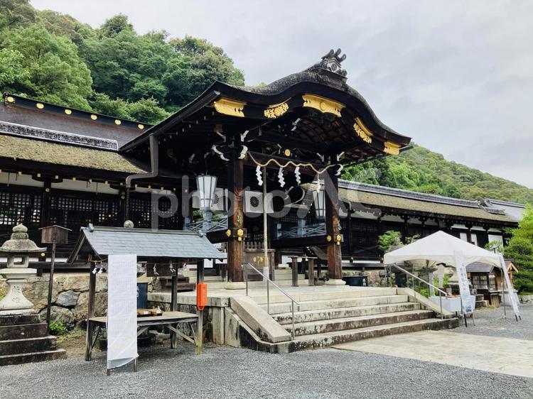松尾大社　本殿 松尾大社,京都府京都市,嵐山の写真素材